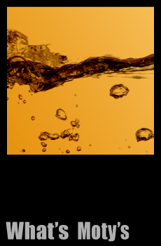 Motys(モティーズ)とは