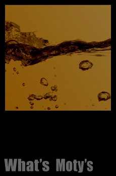 Motys(モティーズ)とは